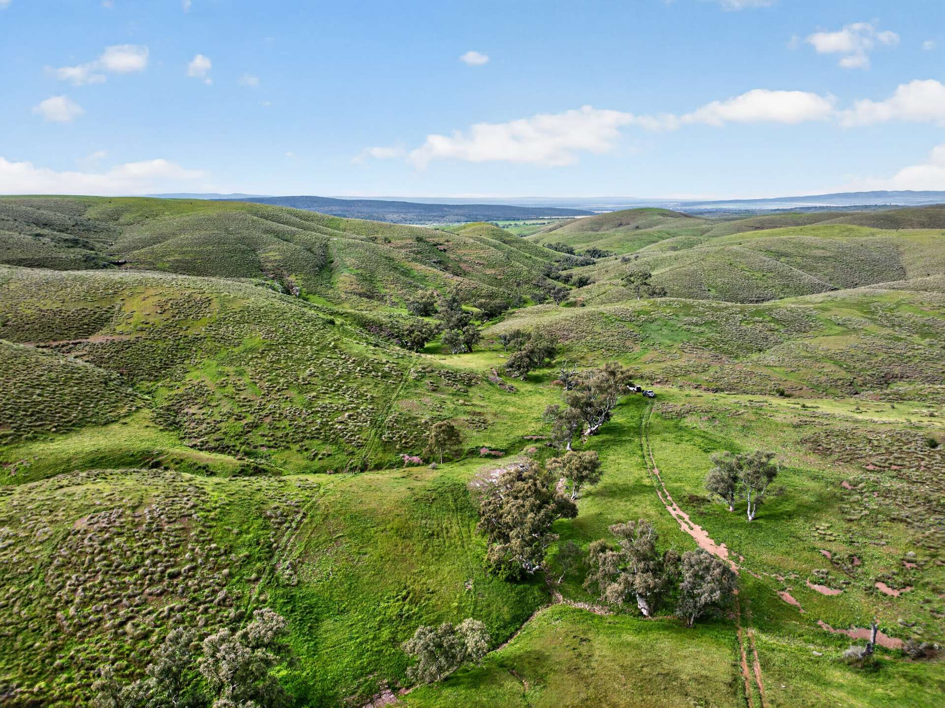 467 Depot Flat Road, Yarrah Auction by Farmbuy.com - image 11