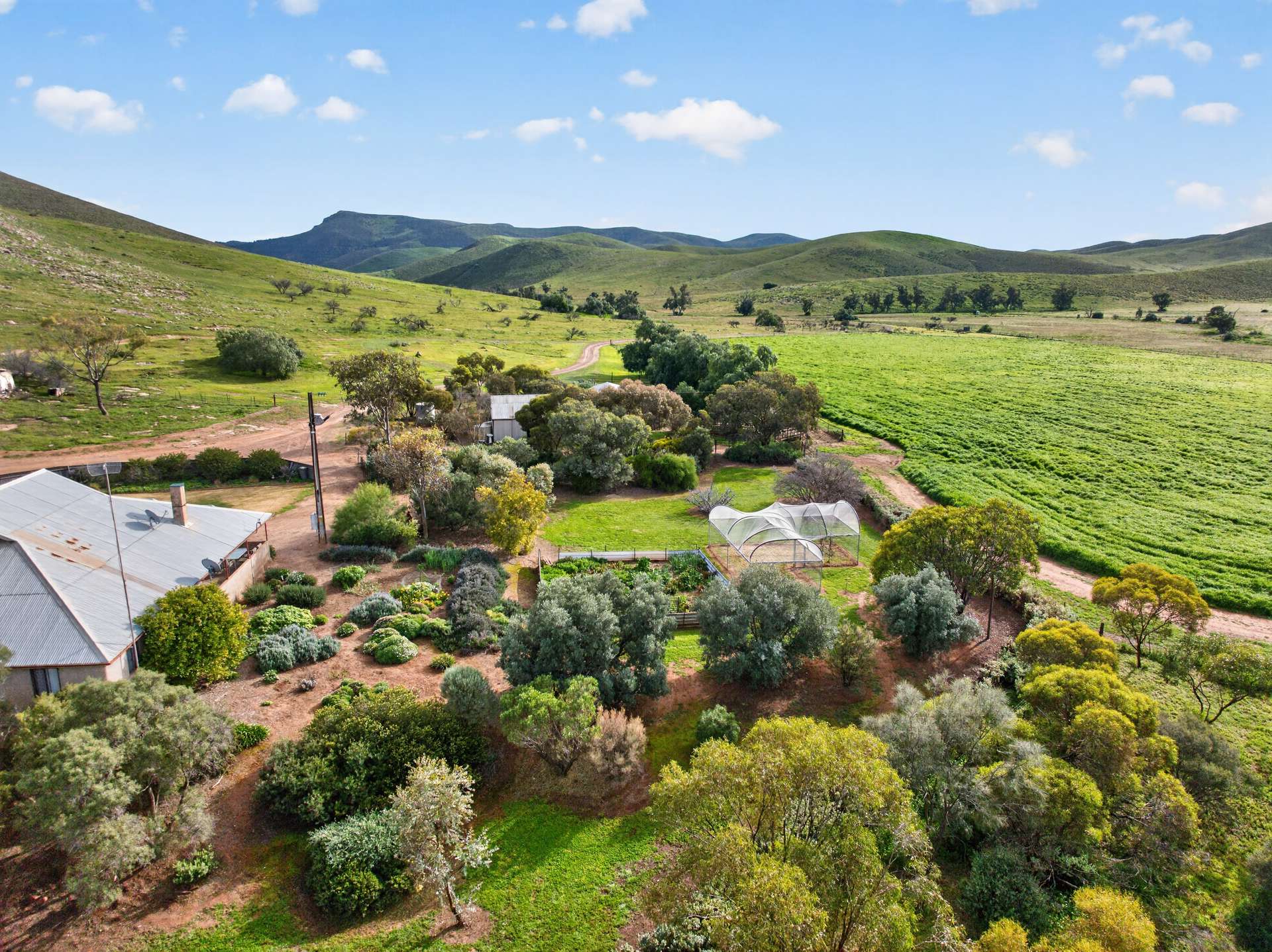 467 Depot Flat Road, Yarrah Auction by Farmbuy.com - image 5