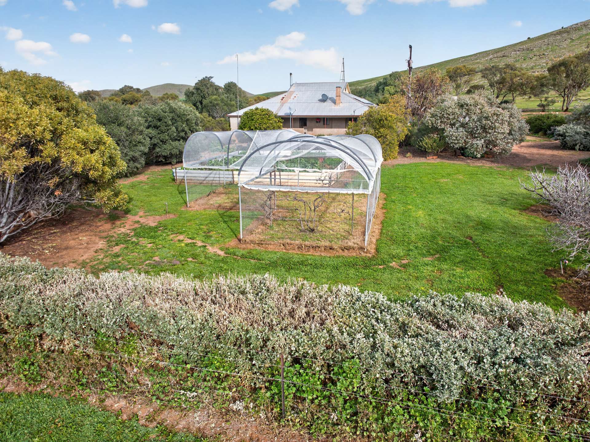 467 Depot Flat Road, Yarrah Auction by Farmbuy.com - image 4