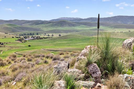 Farm Auction - SA - Yarrah - 5433 - 'Depot Flat' 