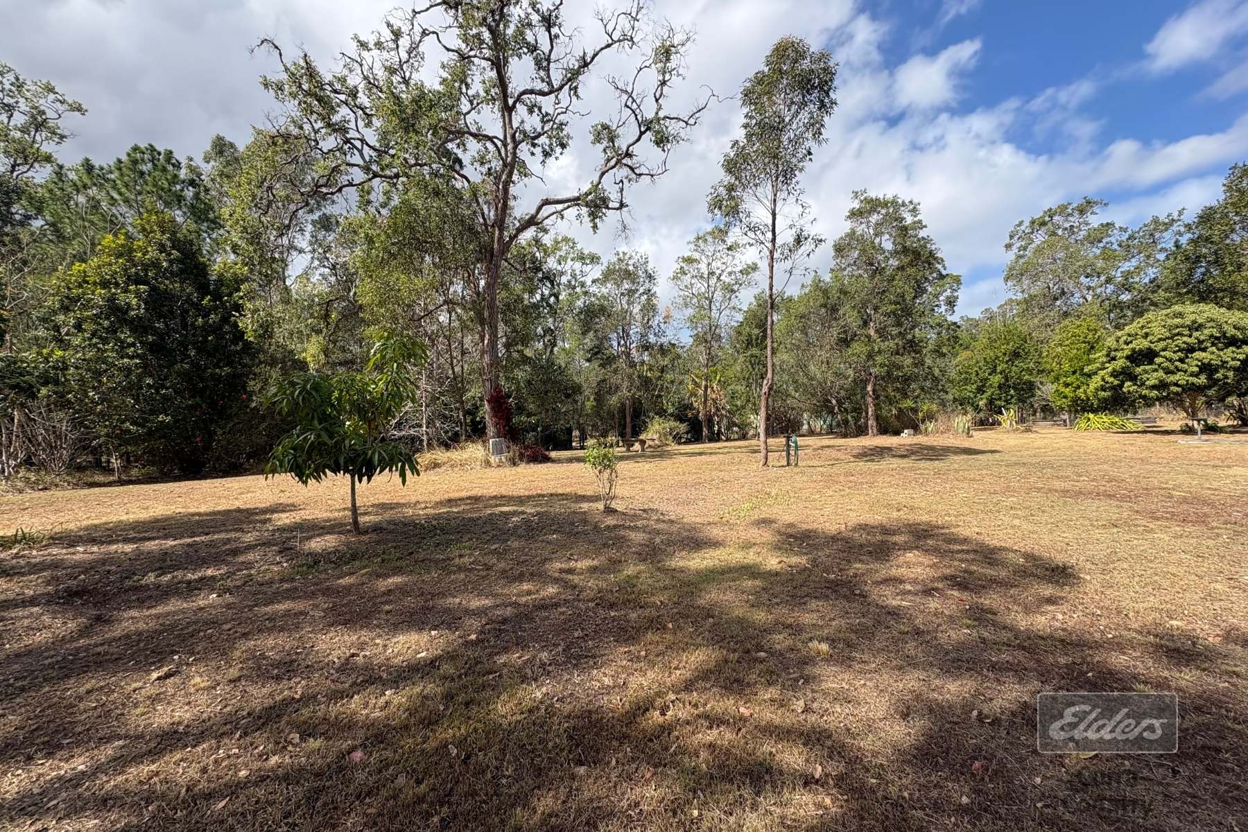 212 Arborfour Road, Glenwood For Sale by Farmbuy.com - image 10