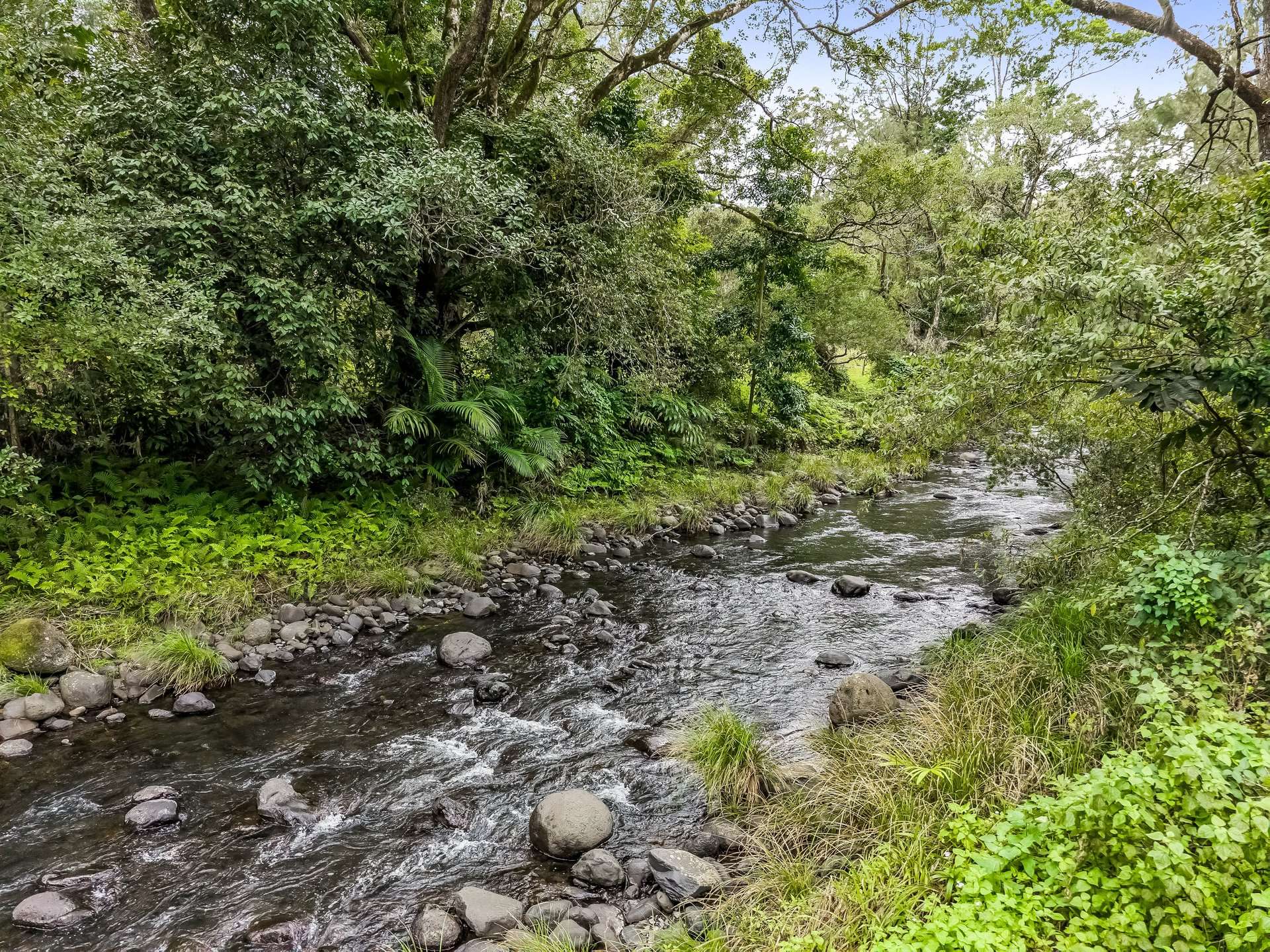2015 Collins Creek Road, Collins Creek For Sale by Farmbuy.com - image 3