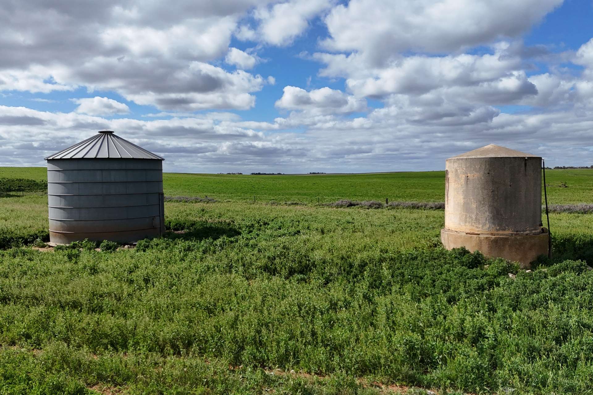 A100 Greenways Road, Nildottie For Sale by Farmbuy.com - image 7