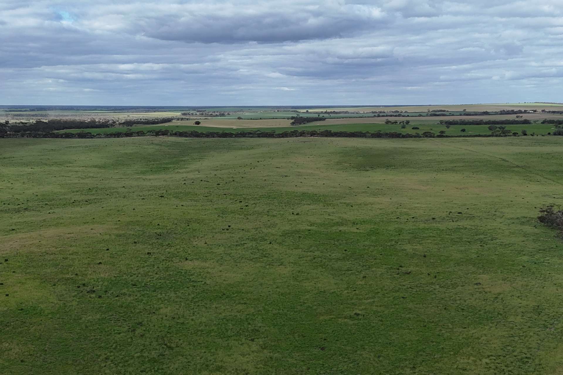A100 Greenways Road, Nildottie For Sale by Farmbuy.com - image 10