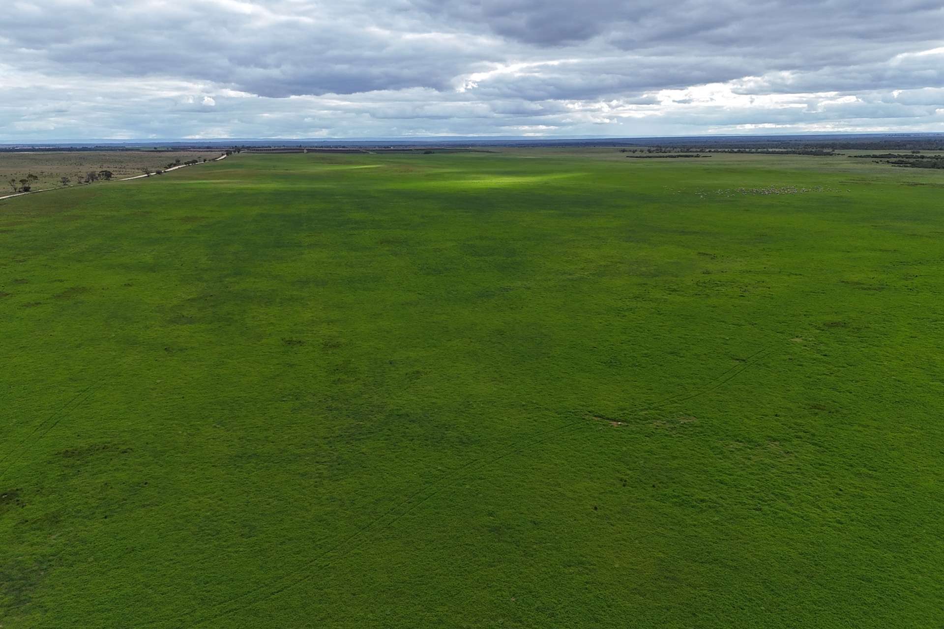 A100 Greenways Road, Nildottie For Sale by Farmbuy.com - image 20
