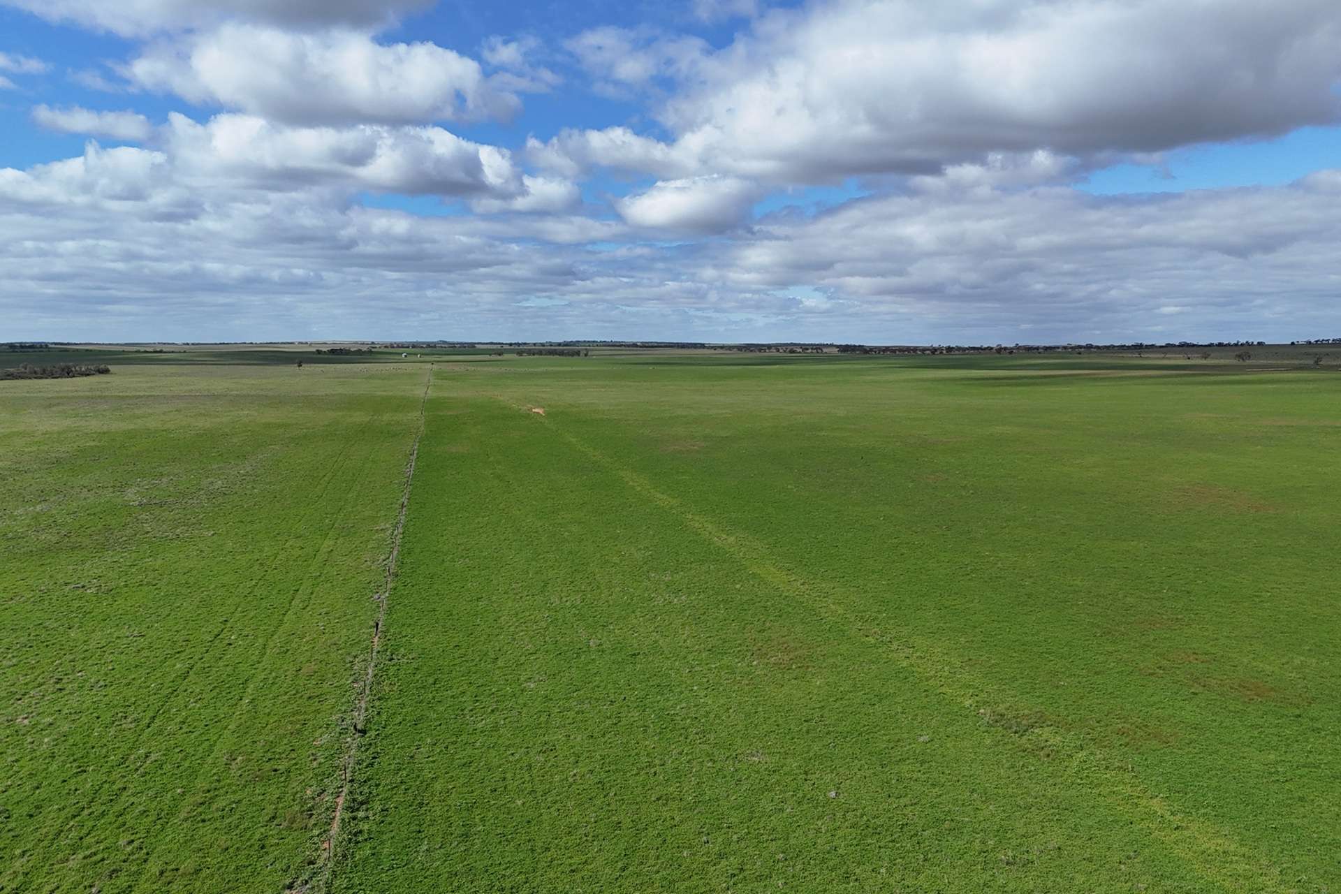 A100 Greenways Road, Nildottie For Sale by Farmbuy.com - image 3