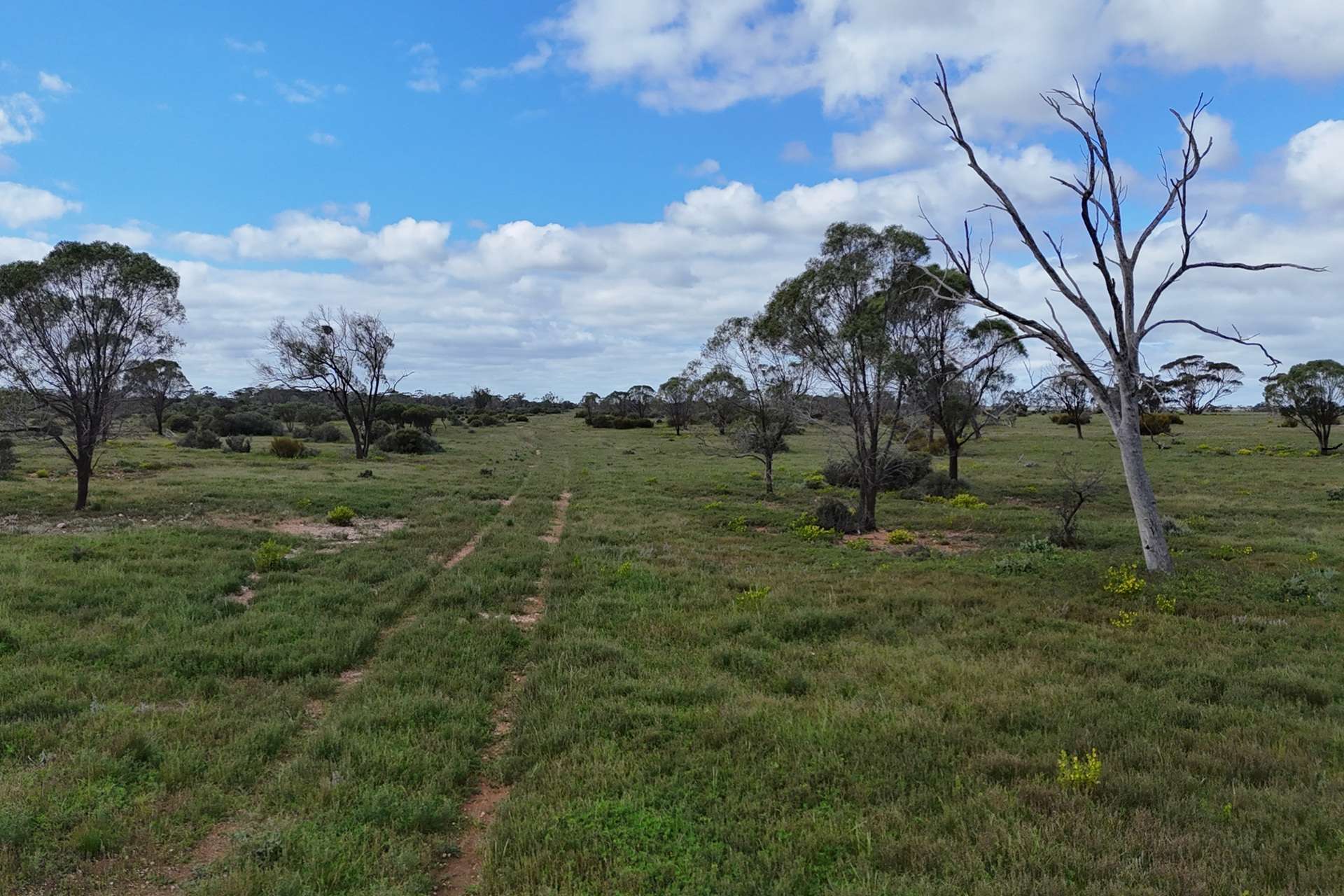 A100 Greenways Road, Nildottie For Sale by Farmbuy.com - image 12