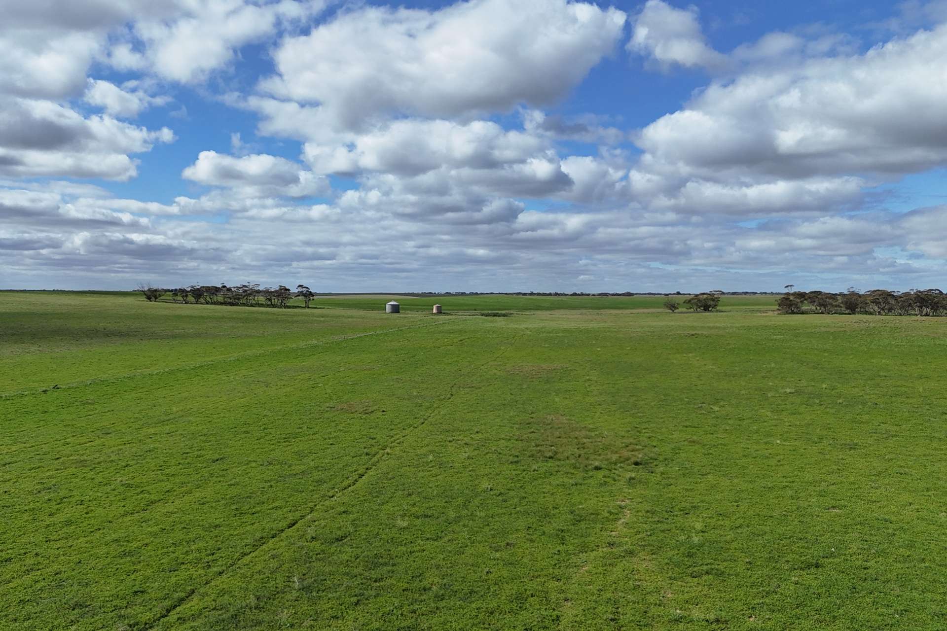 A100 Greenways Road, Nildottie For Sale by Farmbuy.com - image 4