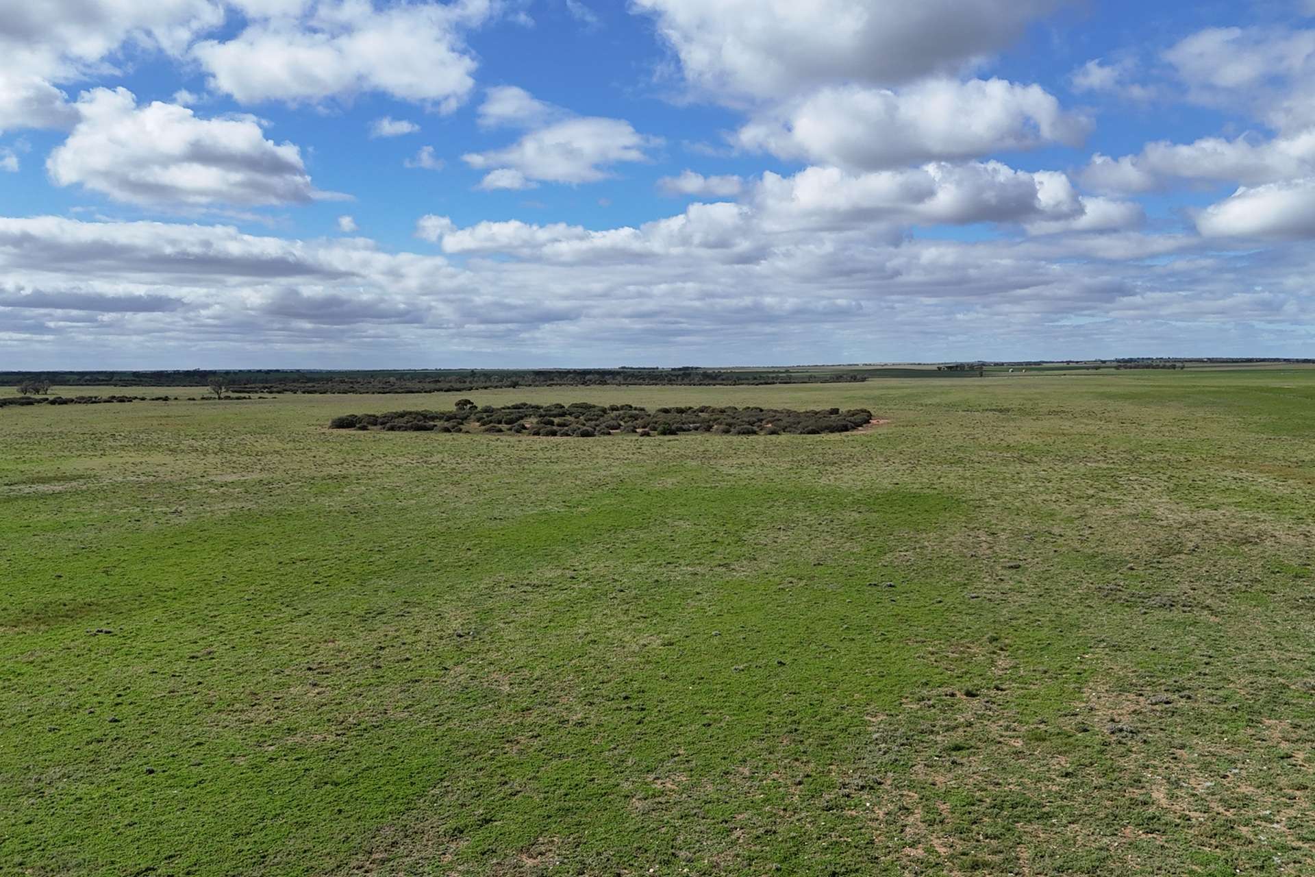A100 Greenways Road, Nildottie For Sale by Farmbuy.com - image 6