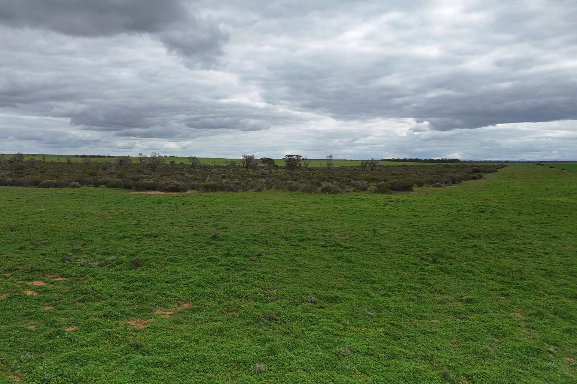 A100 Greenways Road, Nildottie For Sale by Farmbuy.com - image 11