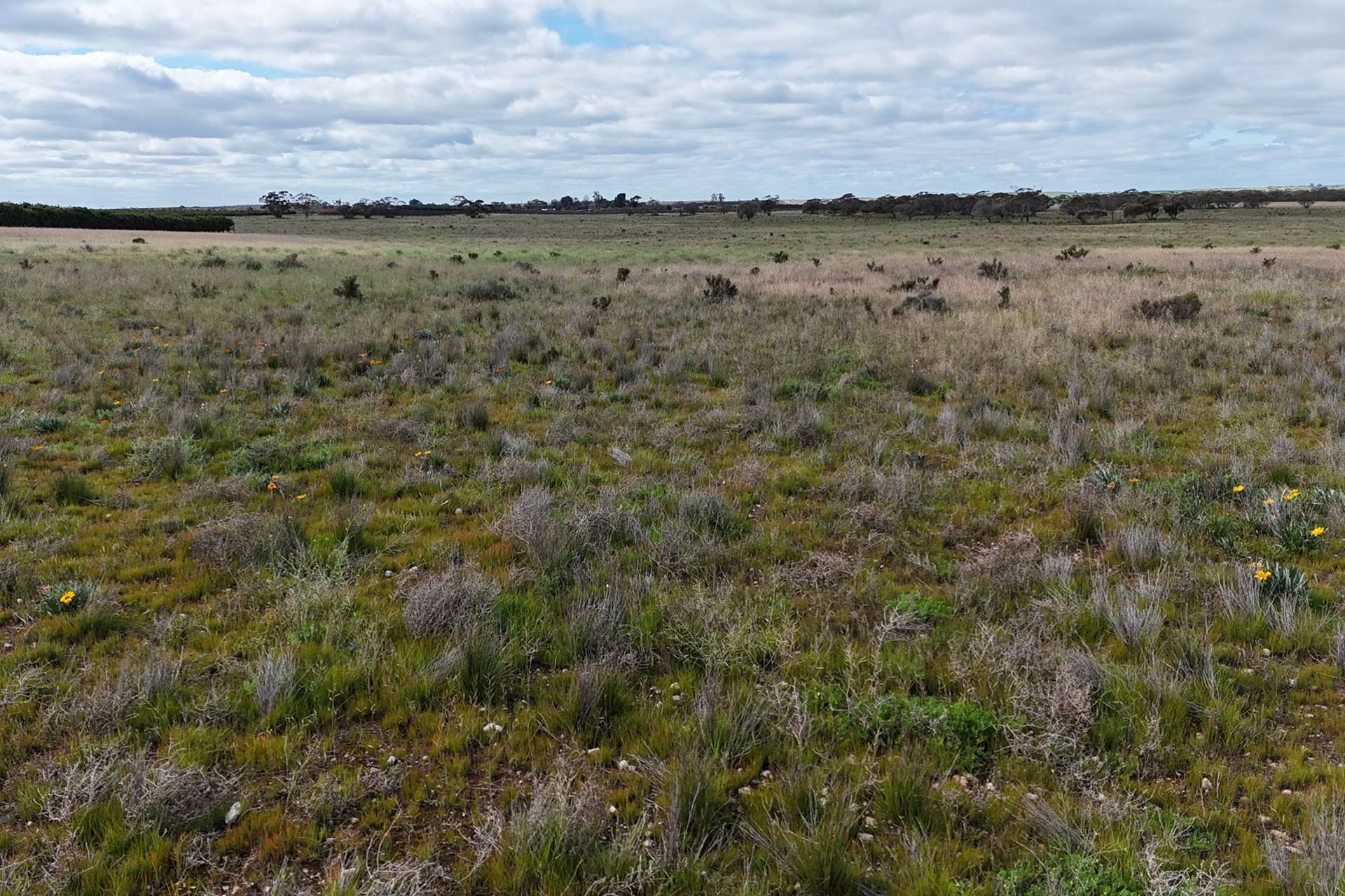 A100 Greenways Road, Nildottie For Sale by Farmbuy.com - image 13