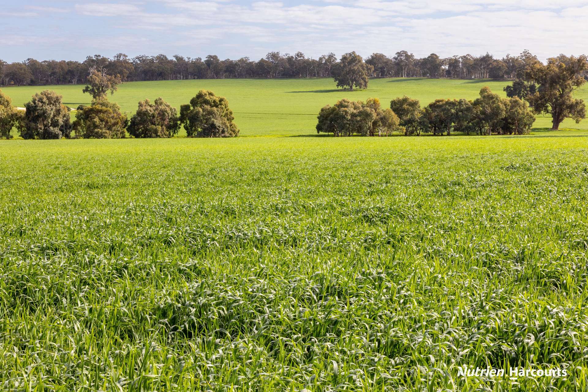 1722 Williams-Darkan Road, Williams For Sale by Farmbuy.com - image 3