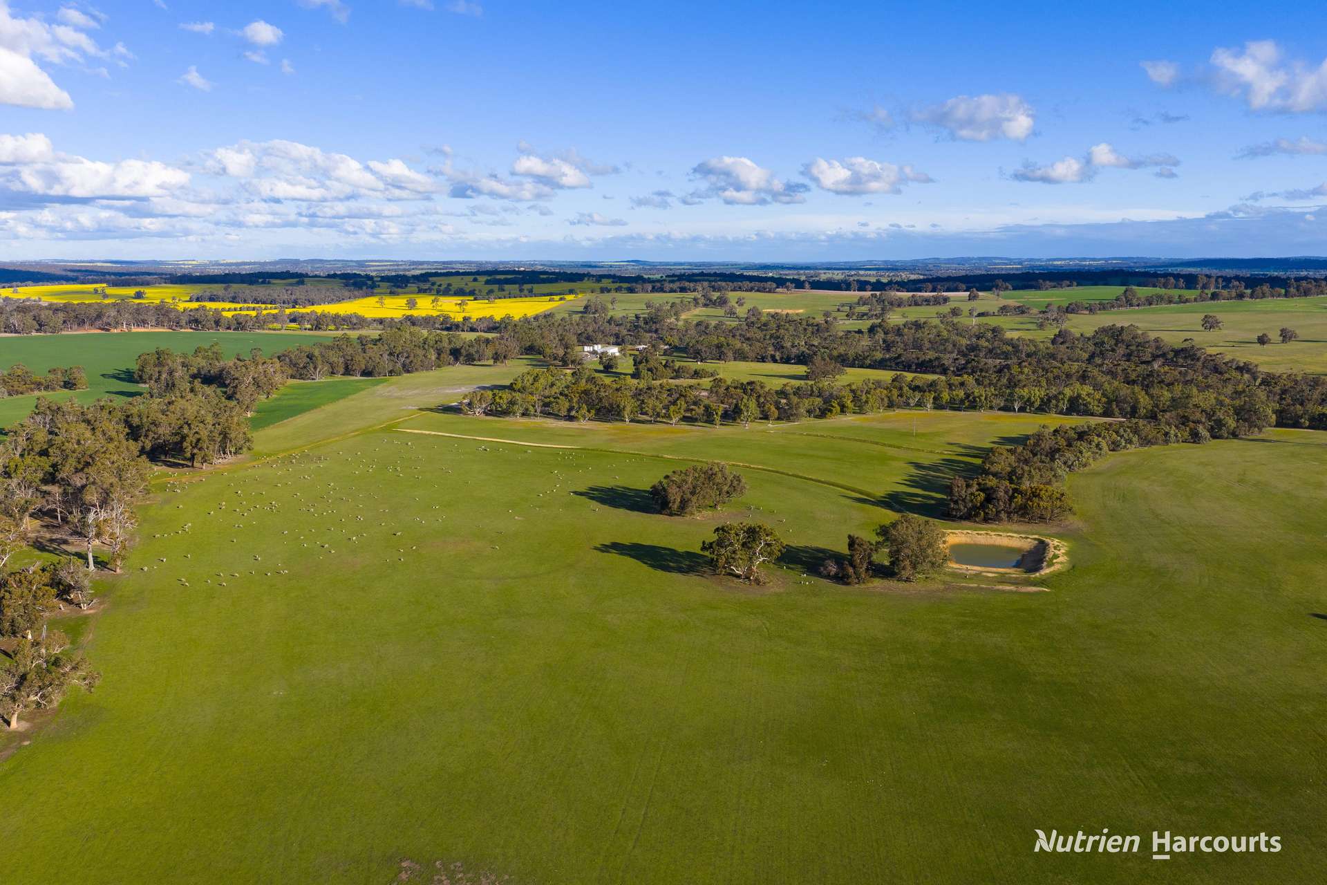 1722 Williams-Darkan Road, Williams For Sale by Farmbuy.com - image 1