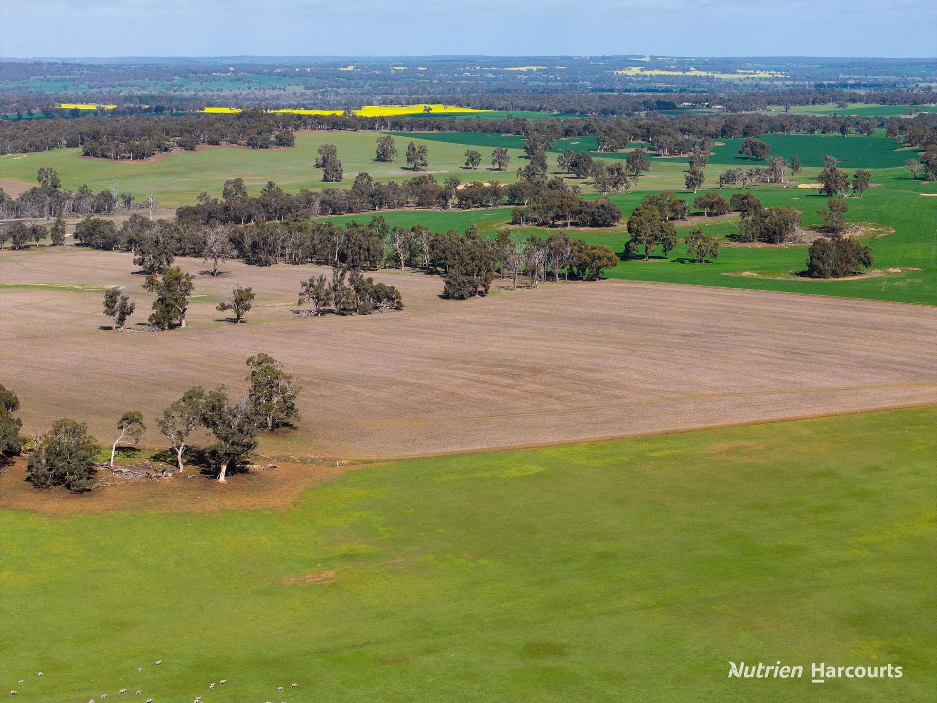 1722 Williams-Darkan Road, Williams For Sale by Farmbuy.com - image 7