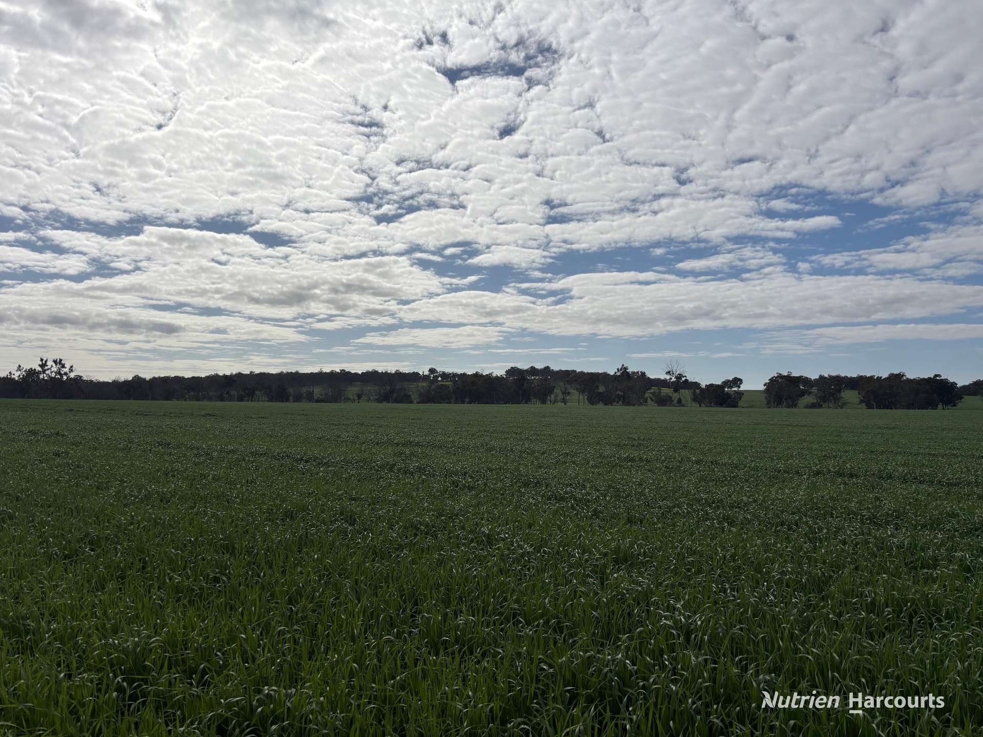 1722 Williams-Darkan Road, Williams For Sale by Farmbuy.com - image 14
