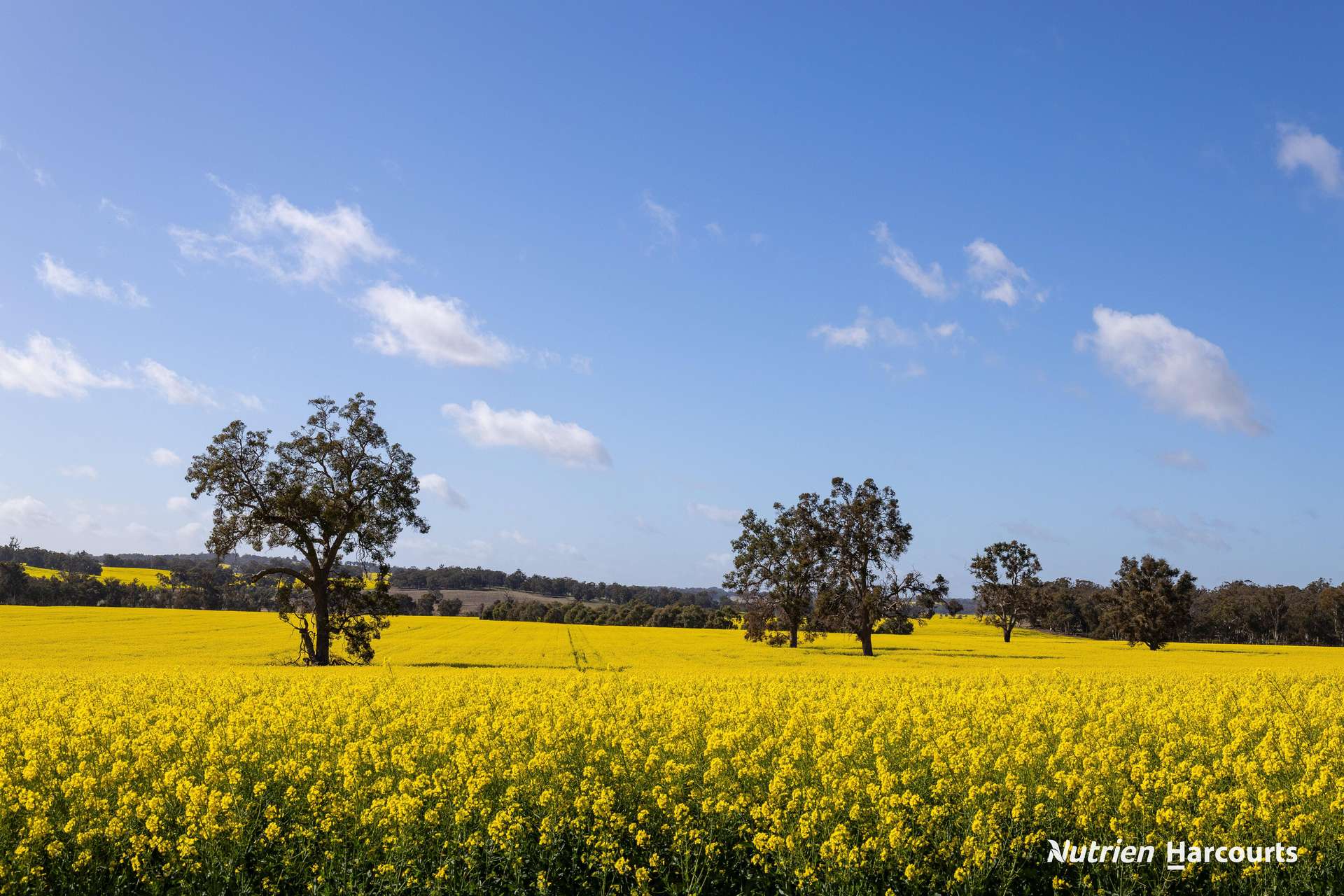 1722 Williams-Darkan Road, Williams For Sale by Farmbuy.com - image 6