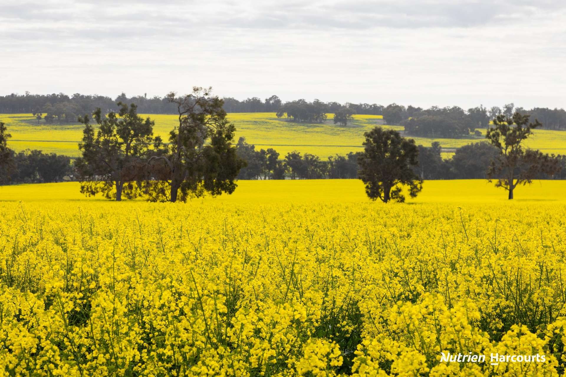 1722 Williams-Darkan Road, Williams For Sale by Farmbuy.com - image 2