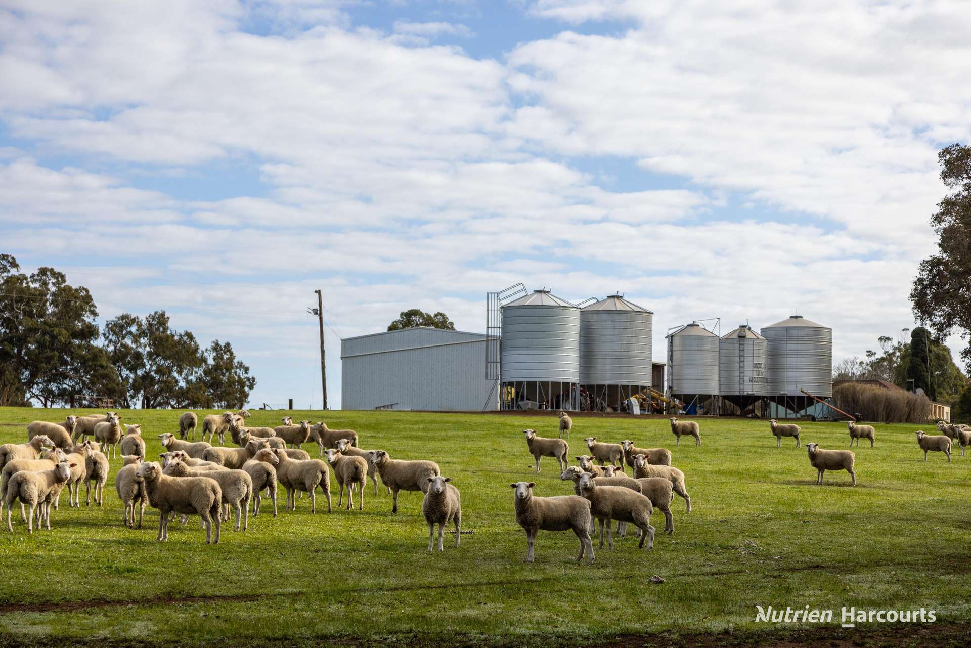 1722 Williams-Darkan Road, Williams For Sale by Farmbuy.com - image 10