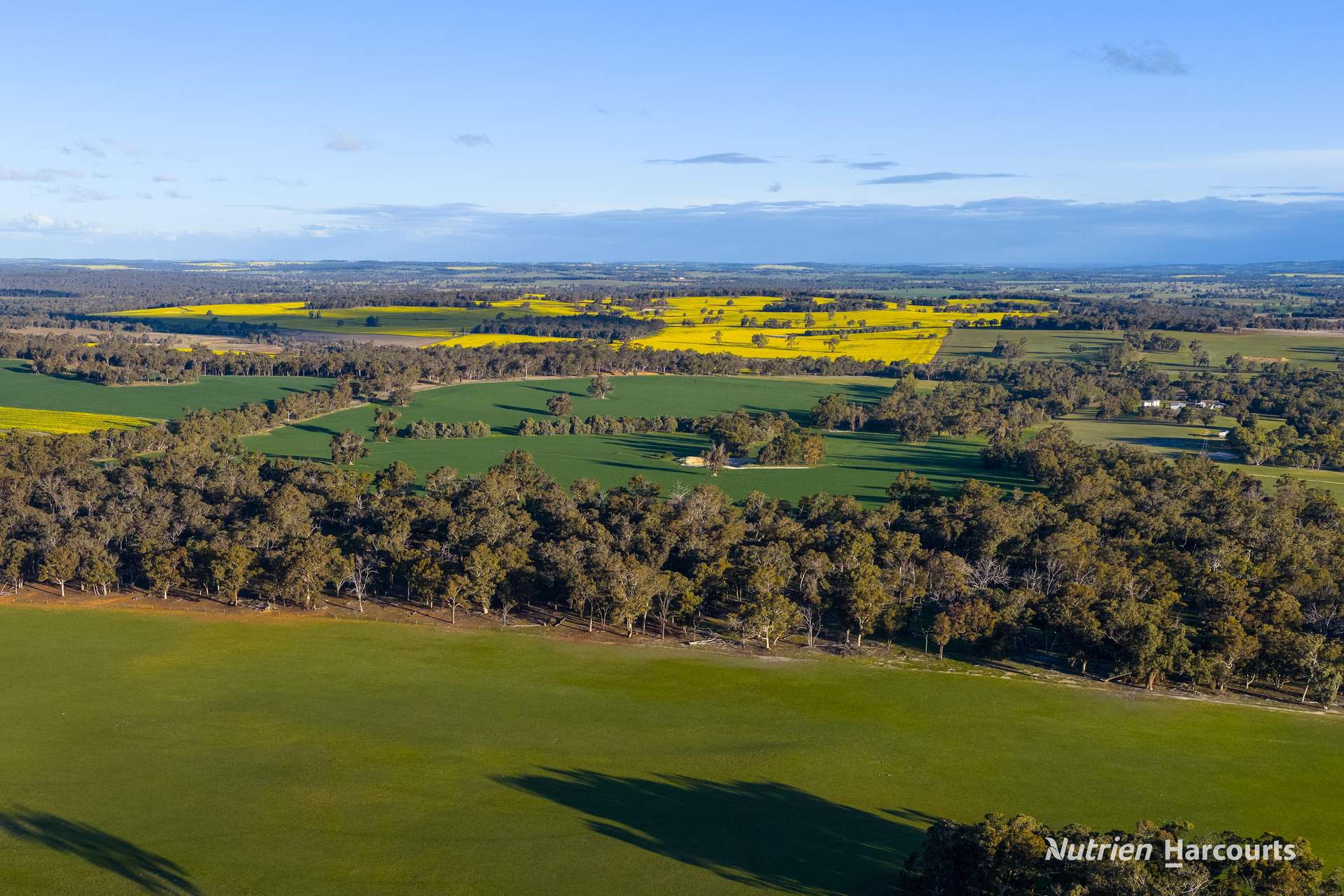 1722 Williams-Darkan Road, Williams For Sale by Farmbuy.com - image 15