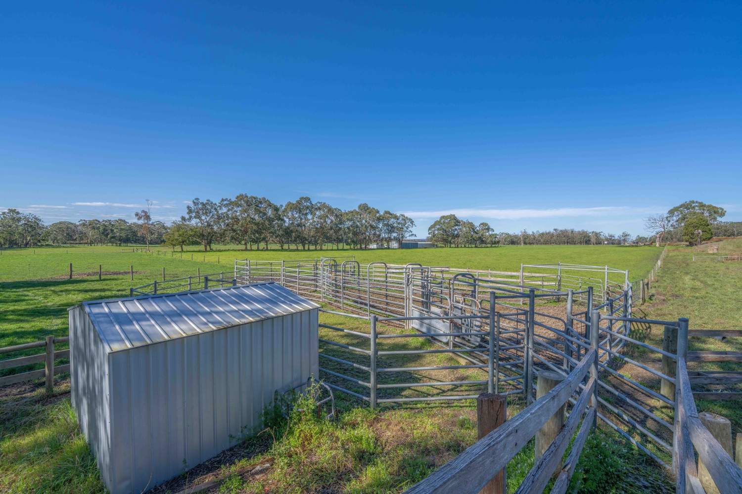 Lot 3 LP70892 Kentbruck Road, Heywood For Sale by Farmbuy.com - image 6