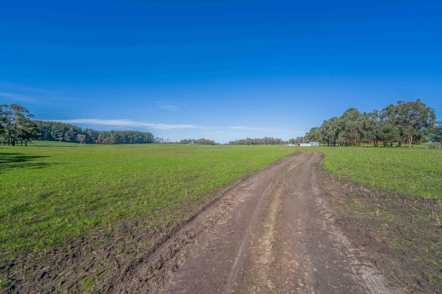 Lot 3 LP70892 Kentbruck Road, Heywood For Sale by Farmbuy.com - image 9
