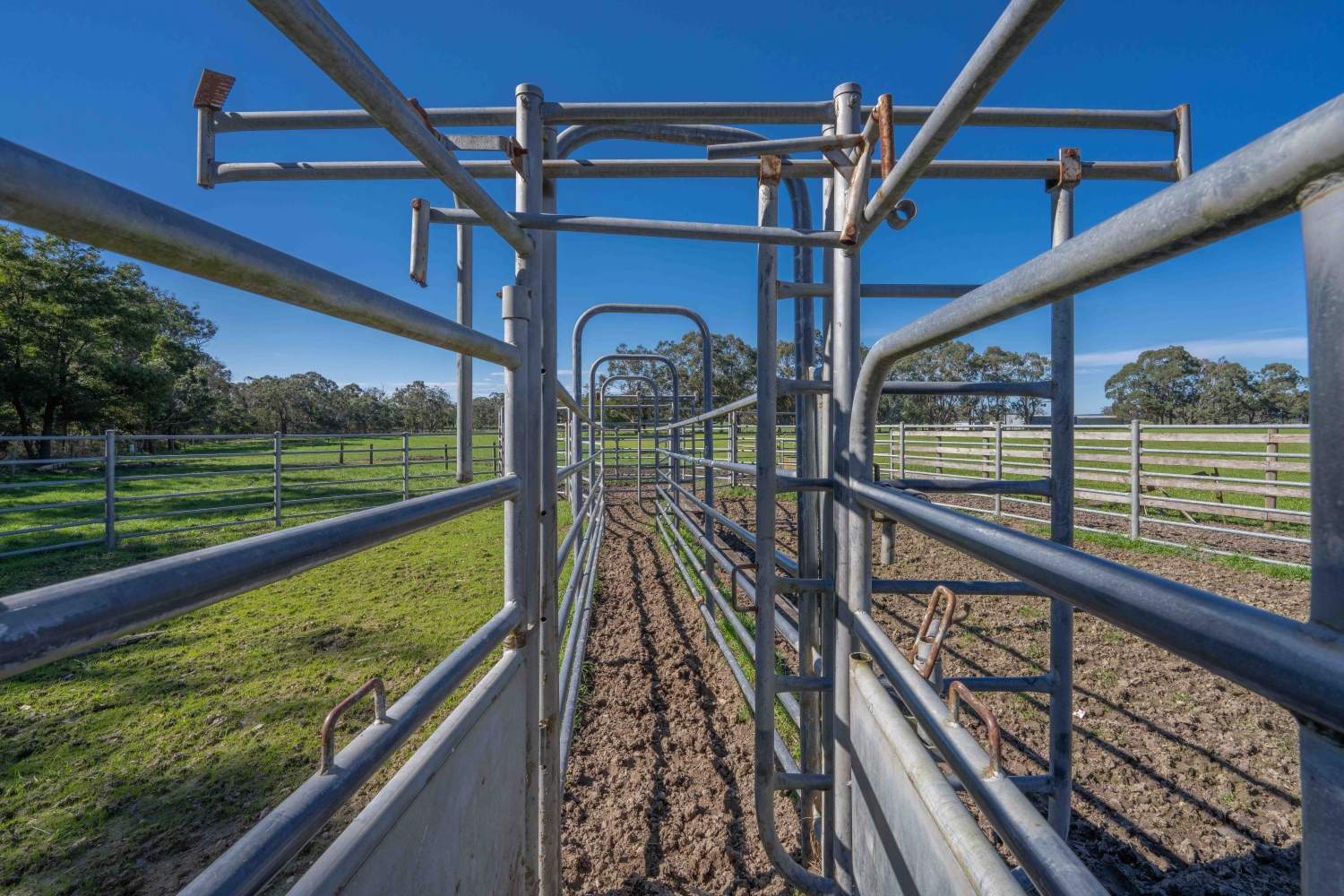 Lot 3 LP70892 Kentbruck Road, Heywood For Sale by Farmbuy.com - image 15