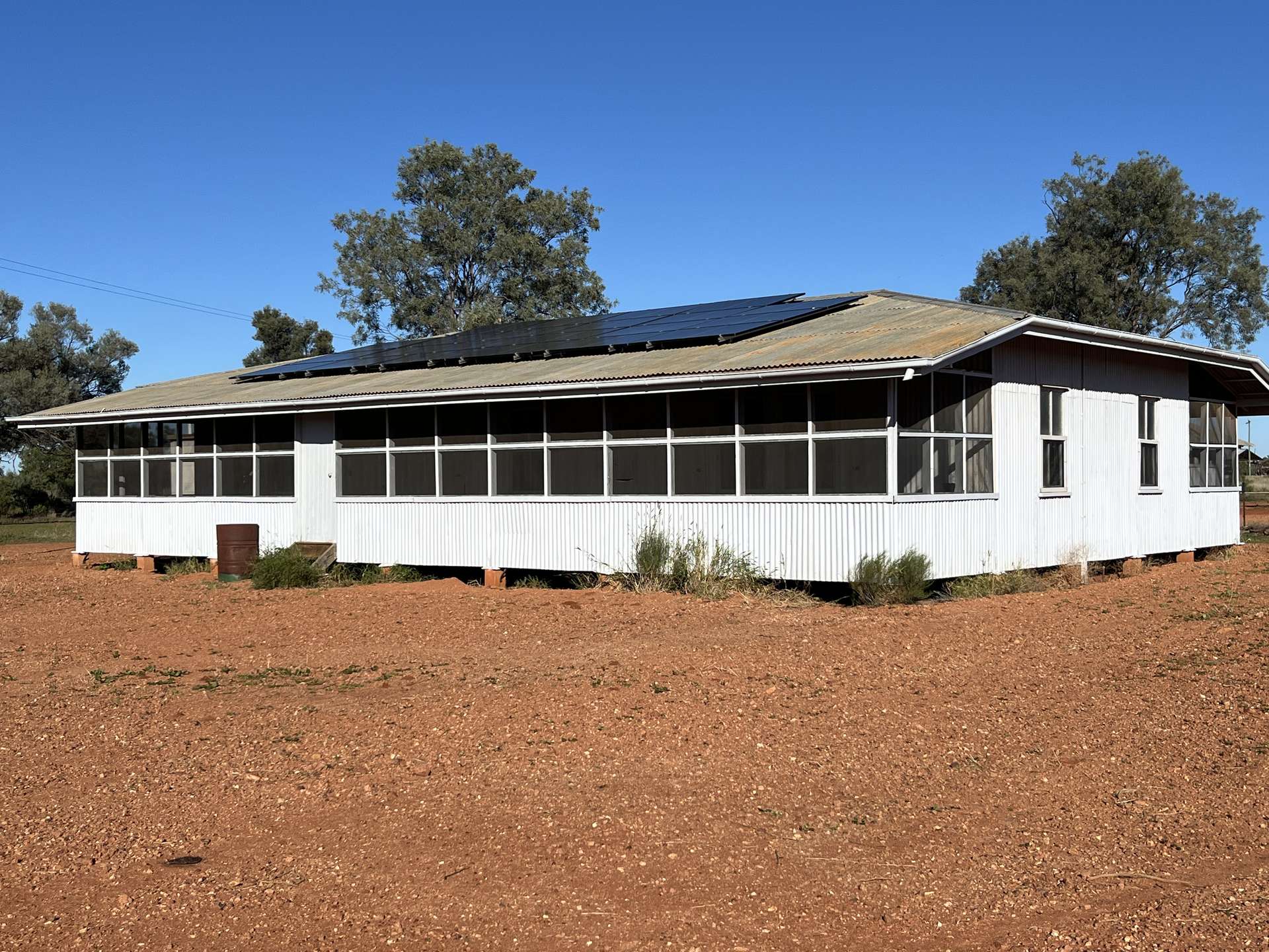 " Turn Turn & Wittenburra ", Eulo Auction by Farmbuy.com - image 9