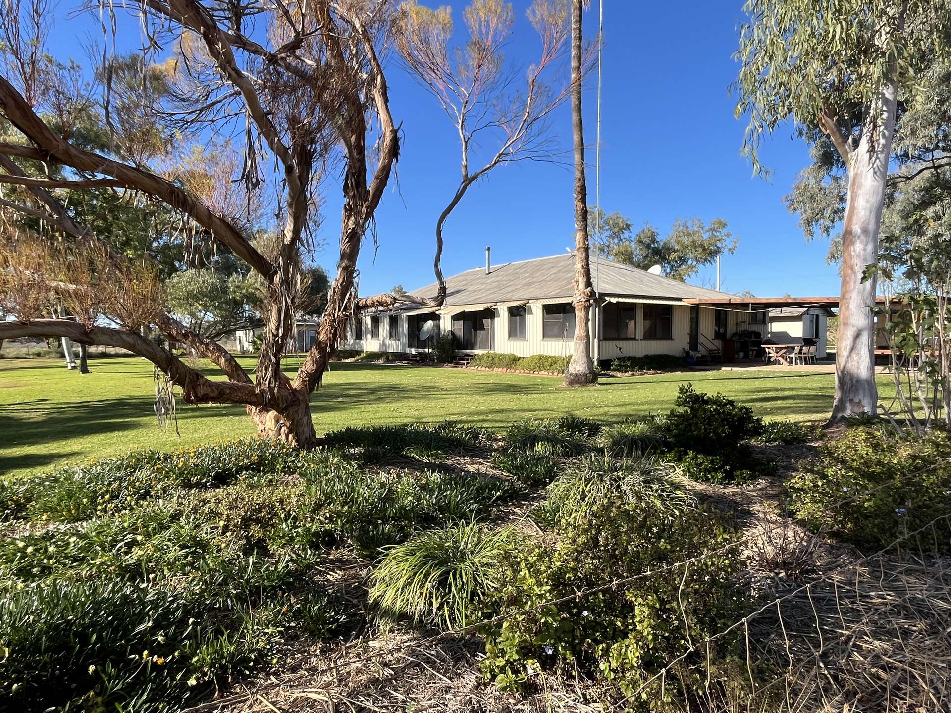 " Turn Turn & Wittenburra ", Eulo Auction by Farmbuy.com - image 8