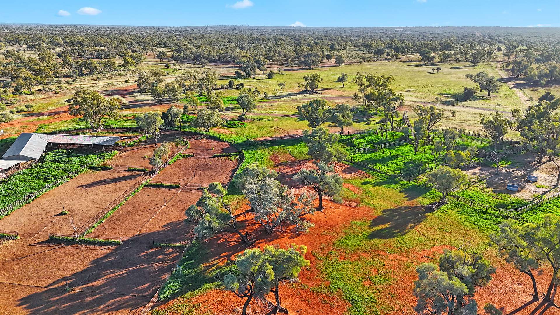 " Turn Turn & Wittenburra ", Eulo Auction by Farmbuy.com - image 12