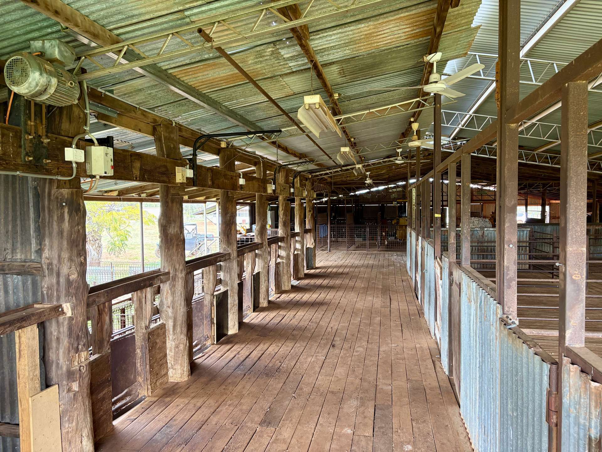 " Turn Turn & Wittenburra ", Eulo Auction by Farmbuy.com - image 7