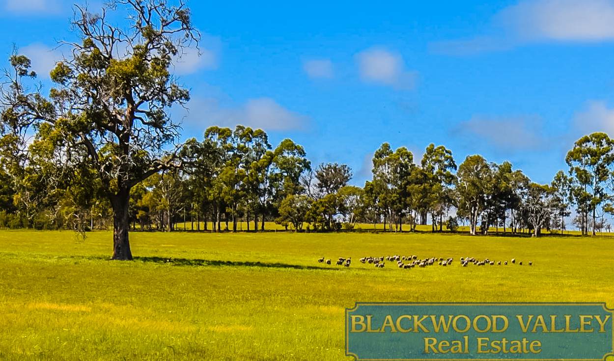 LOT11234/186 Blechynden Road, Dinninup For Sale by Farmbuy.com - image 7