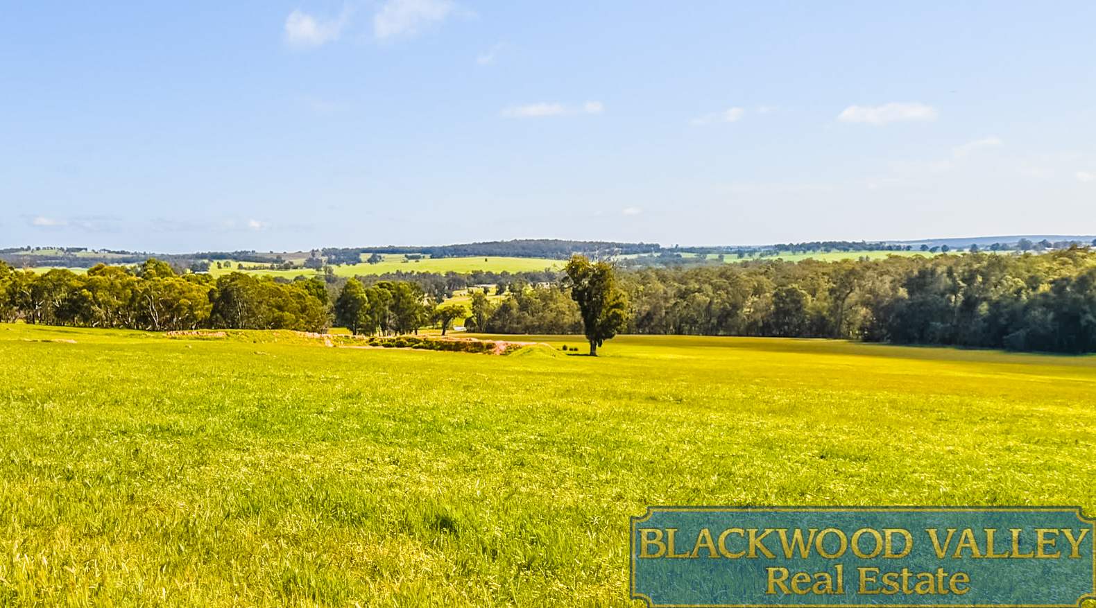 LOT11234/186 Blechynden Road, Dinninup For Sale by Farmbuy.com - image 28
