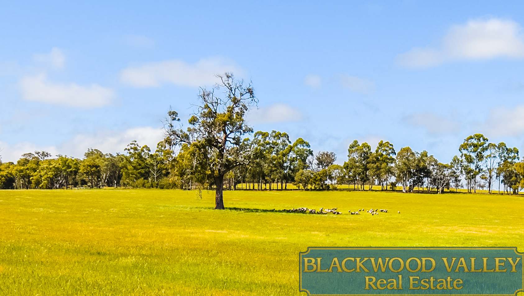 LOT11234/186 Blechynden Road, Dinninup For Sale by Farmbuy.com - image 14