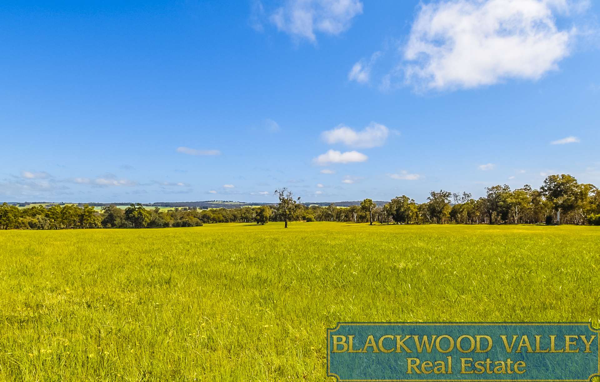 LOT11234/186 Blechynden Road, Dinninup For Sale by Farmbuy.com - image 34