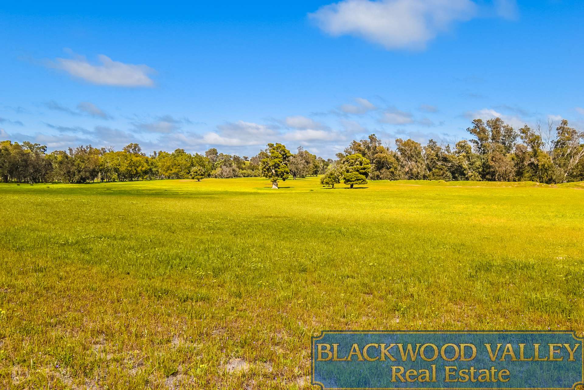 LOT11234/186 Blechynden Road, Dinninup For Sale by Farmbuy.com - image 8