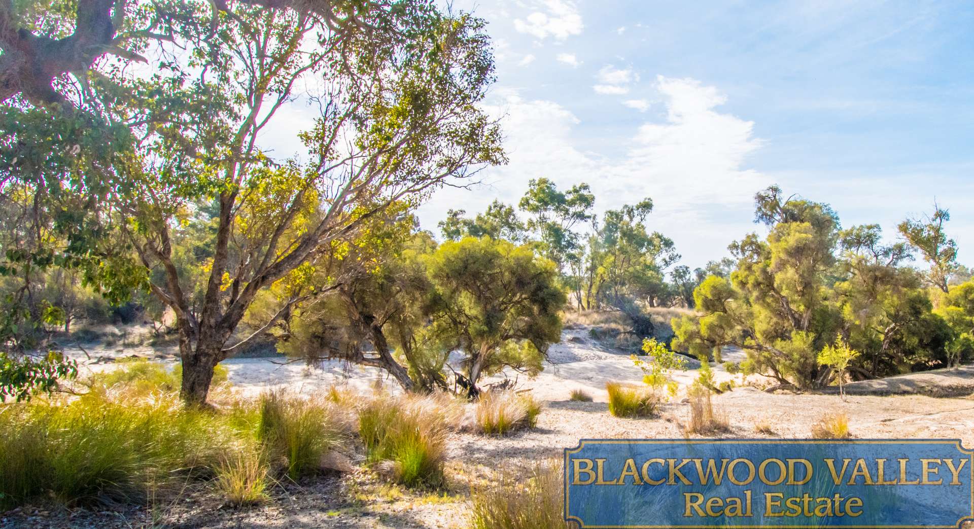 LOT11234/186 Blechynden Road, Dinninup For Sale by Farmbuy.com - image 16
