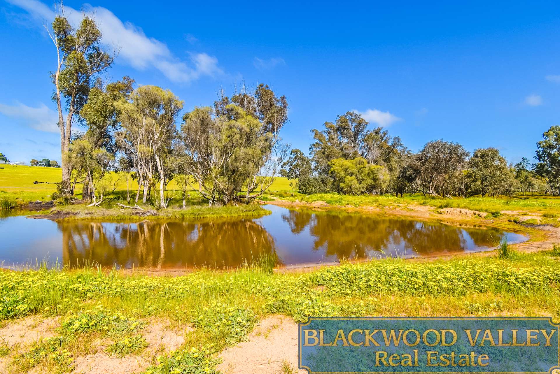 LOT11234/186 Blechynden Road, Dinninup For Sale by Farmbuy.com - image 9