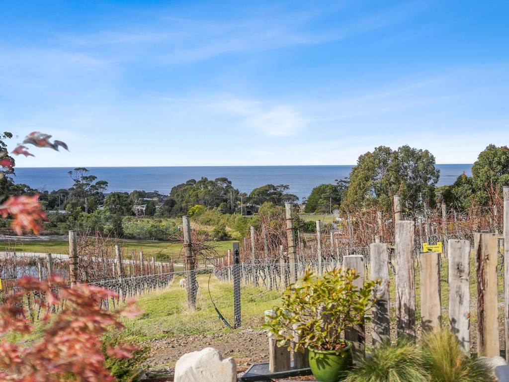 40 Harveys Farm Road, Bicheno TAS 7215