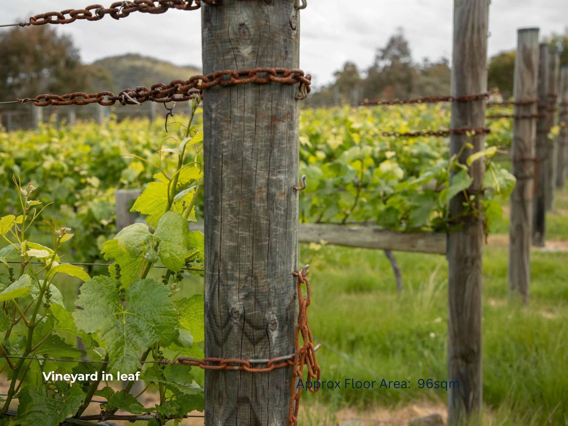 40 Harveys Farm Road, Bicheno For Sale by Farmbuy.com - image 31