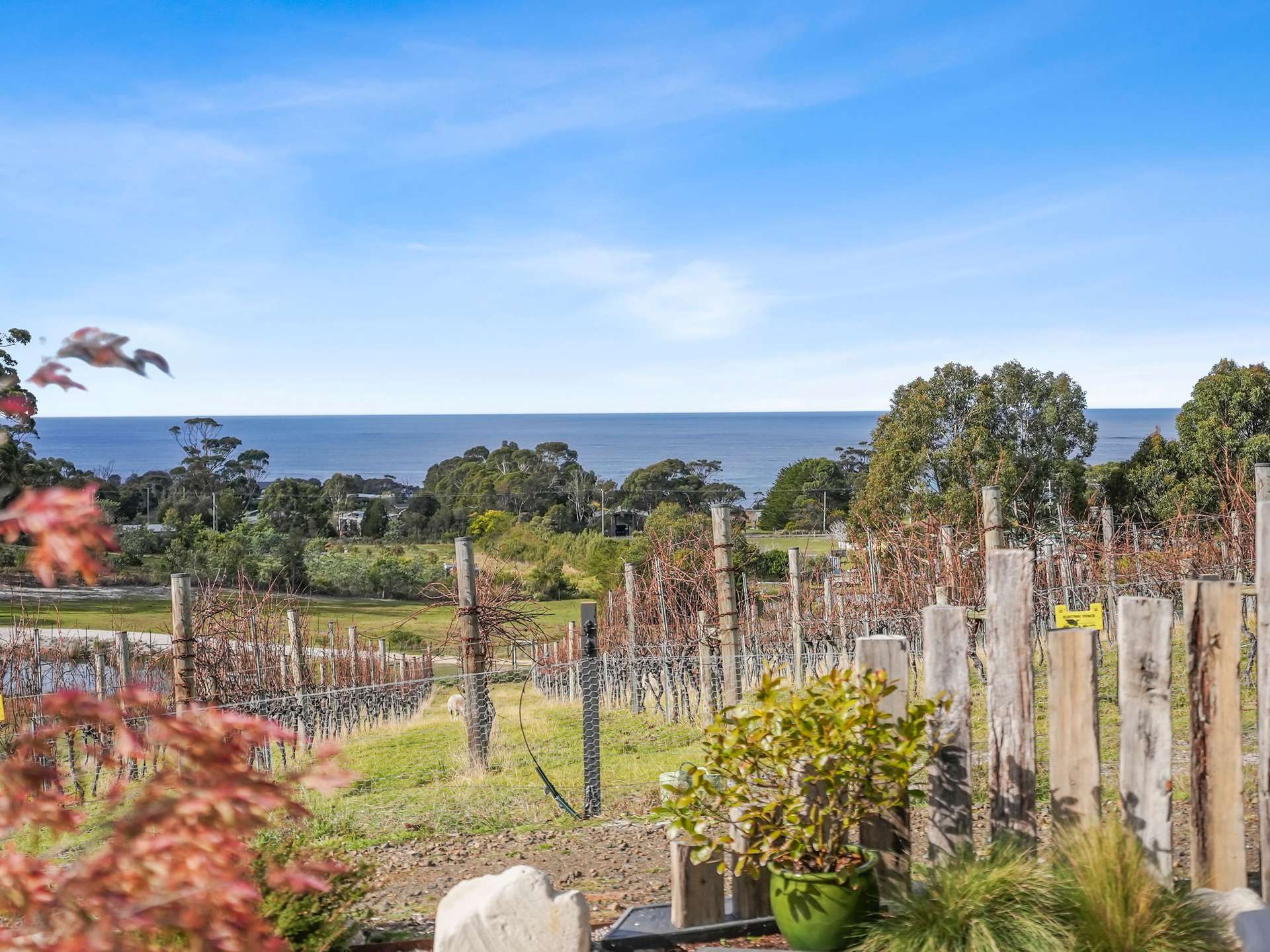 40 Harveys Farm Road, Bicheno For Sale by Farmbuy.com - image 1