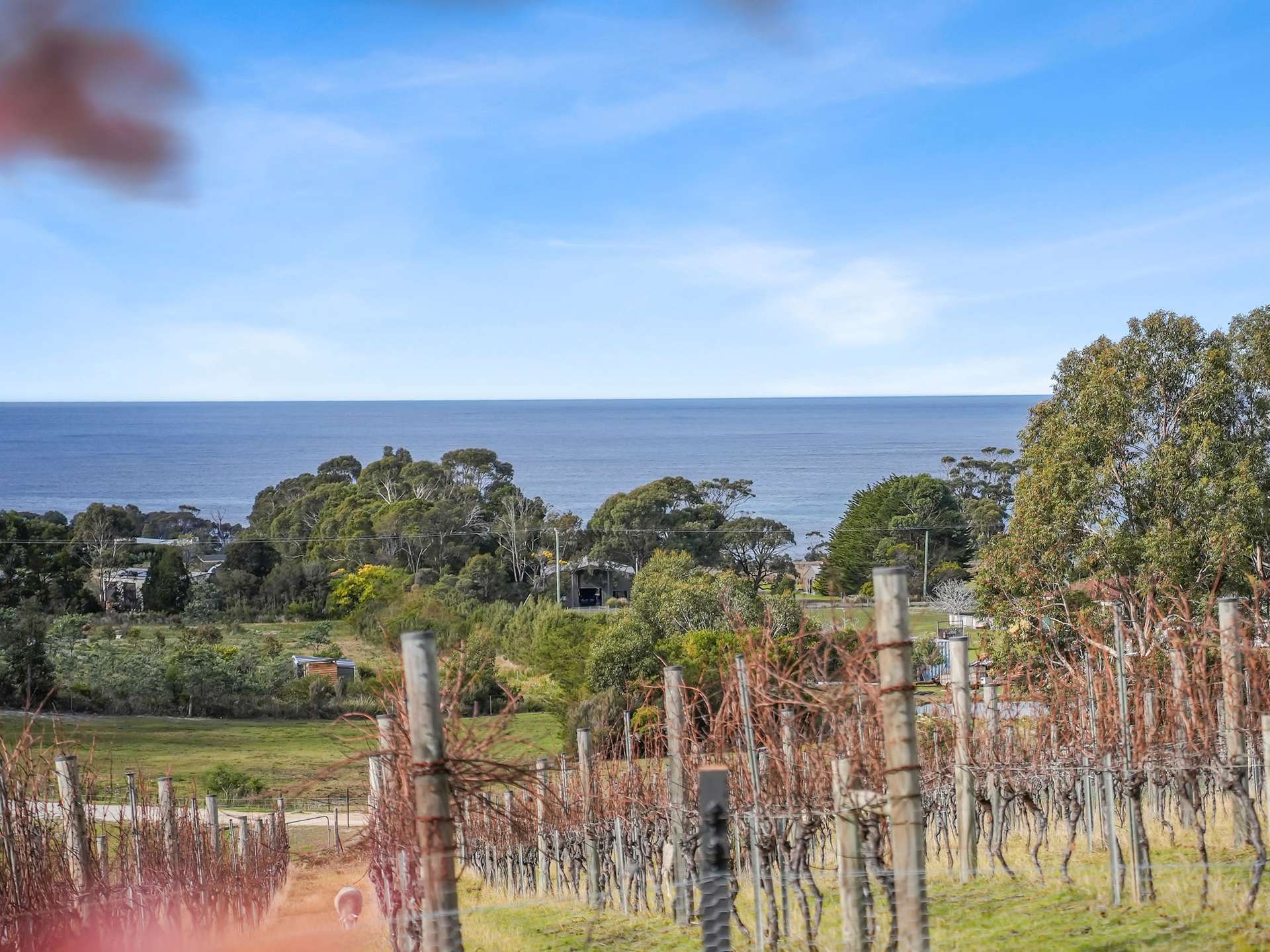 40 Harveys Farm Road, Bicheno For Sale by Farmbuy.com - image 2