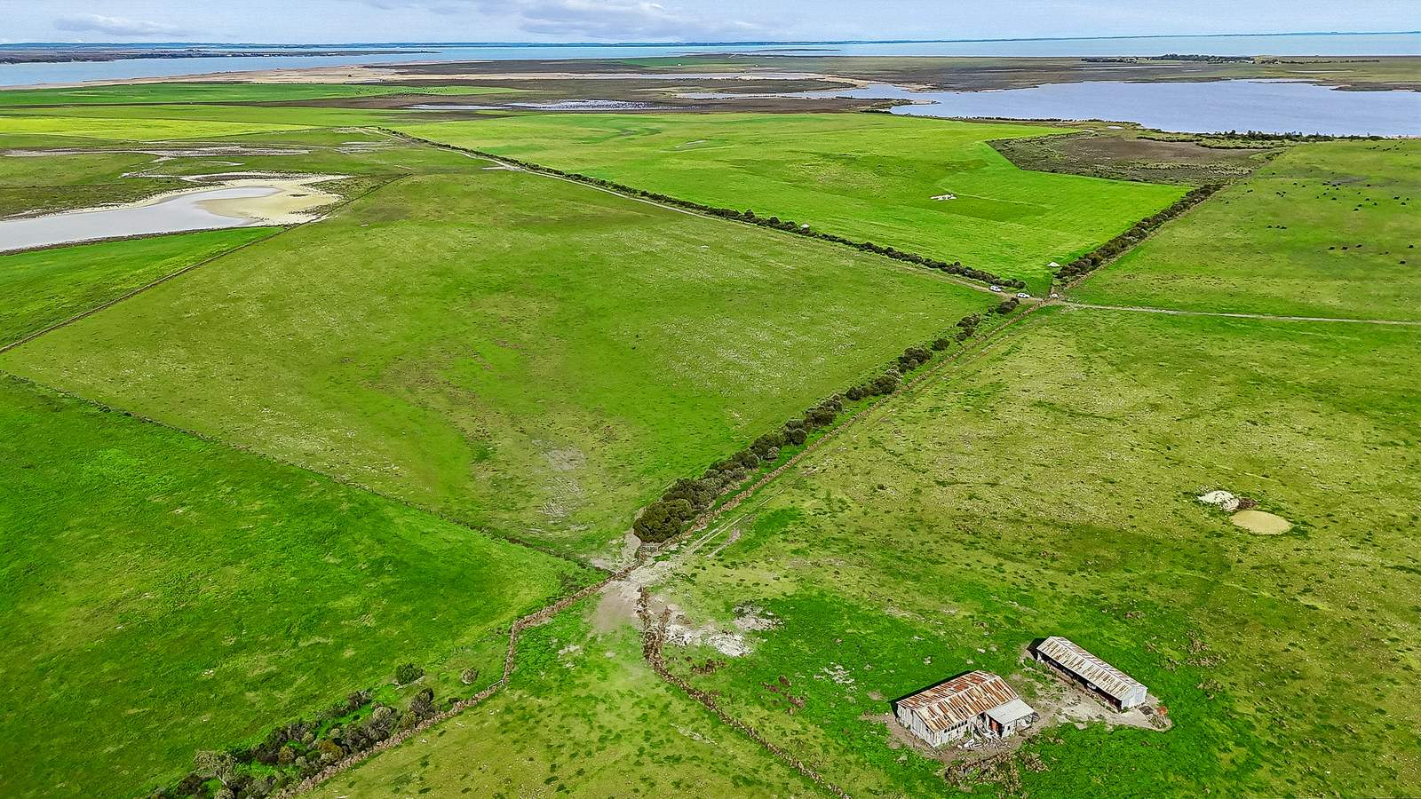 262 Karpany Road, Wellington For Sale by Farmbuy.com - image 9