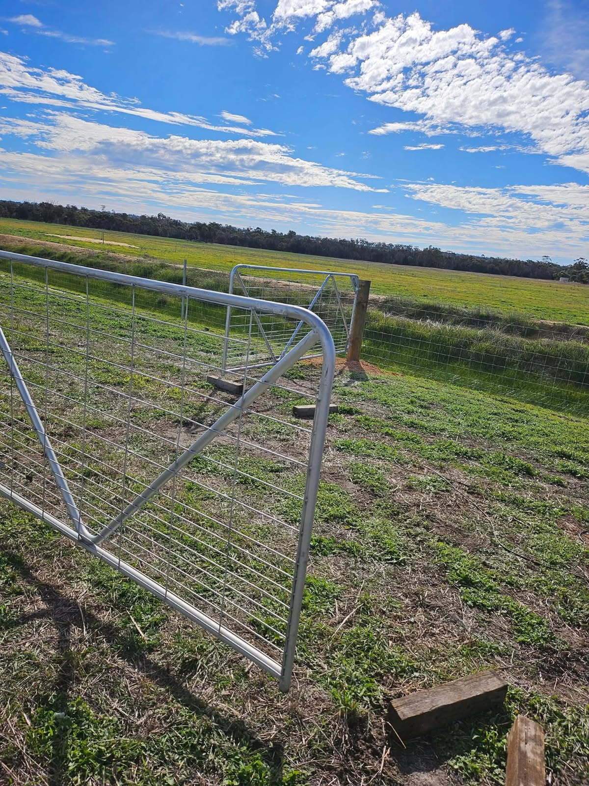 80 Prosser Street, Katanning For Sale by Farmbuy.com - image 20