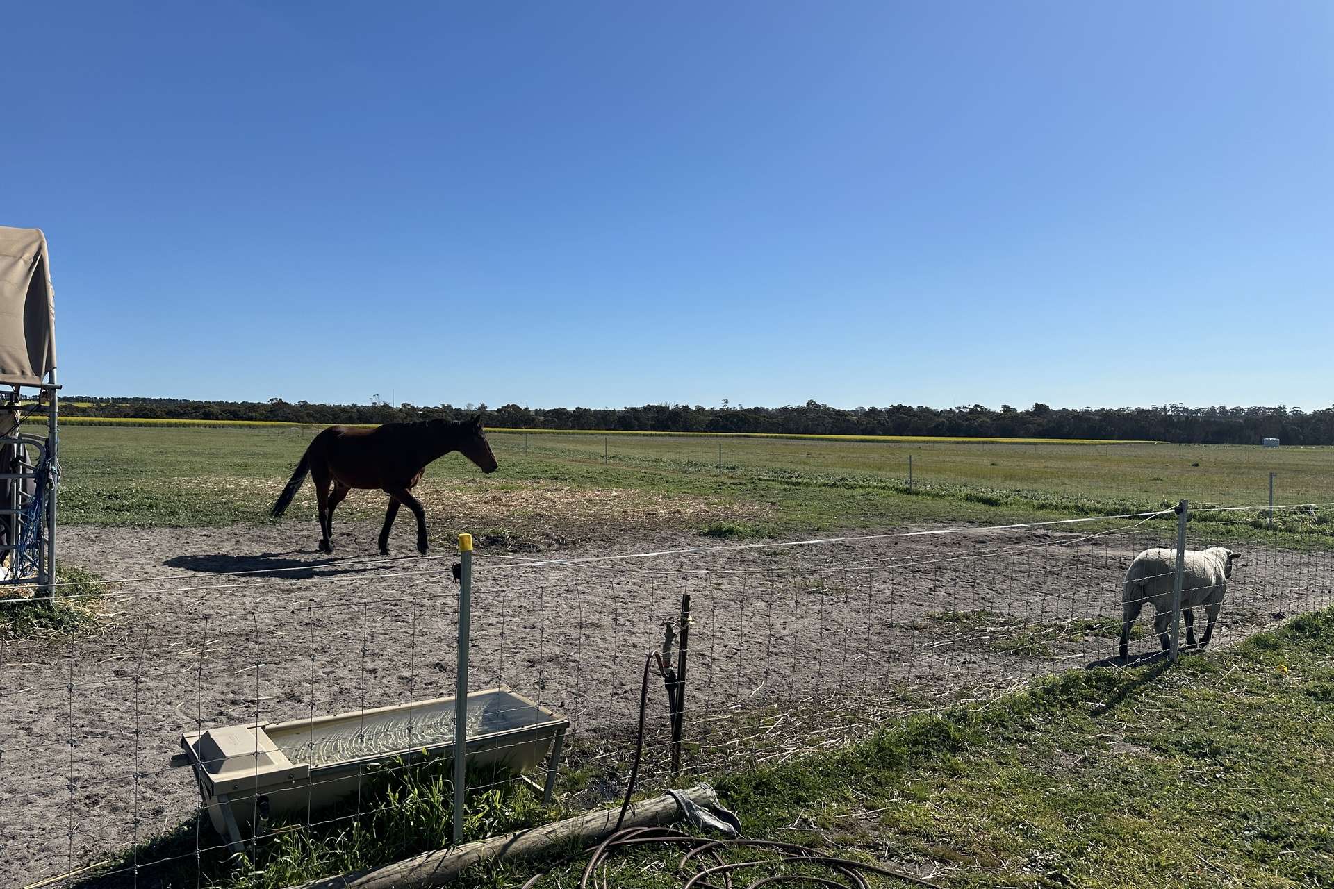 80 Prosser Street, Katanning For Sale by Farmbuy.com - image 17