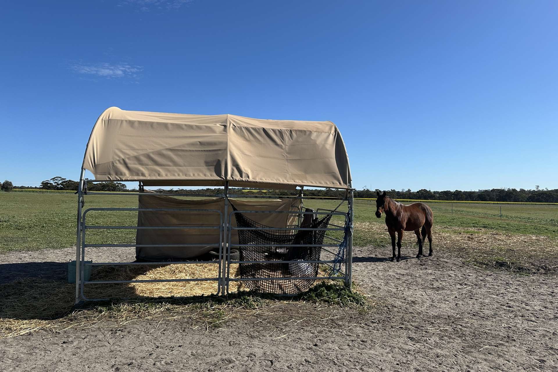 80 Prosser Street, Katanning For Sale by Farmbuy.com - image 19