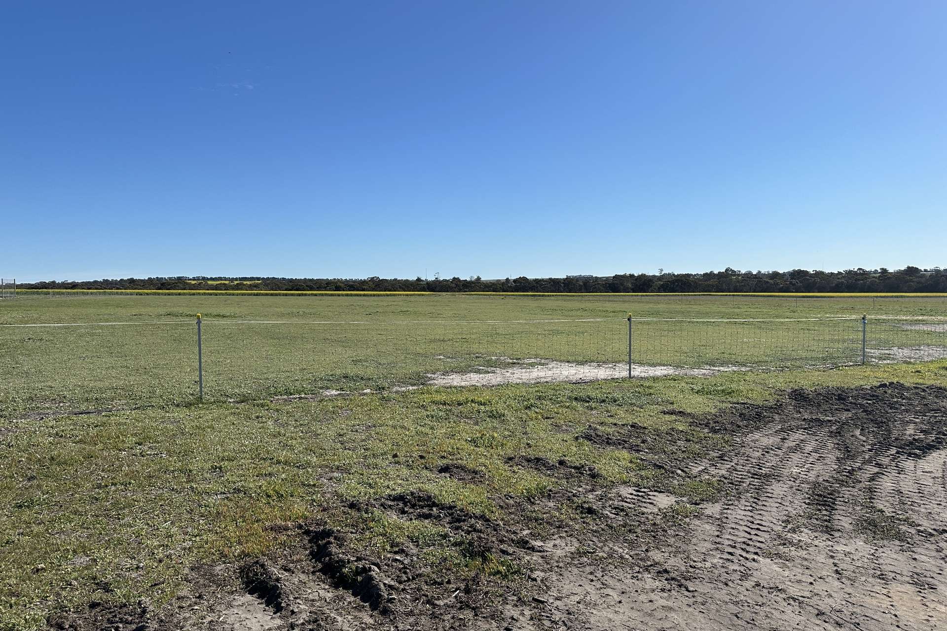 80 Prosser Street, Katanning For Sale by Farmbuy.com - image 16