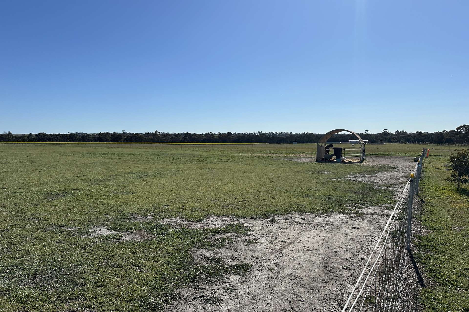 80 Prosser Street, Katanning For Sale by Farmbuy.com - image 18