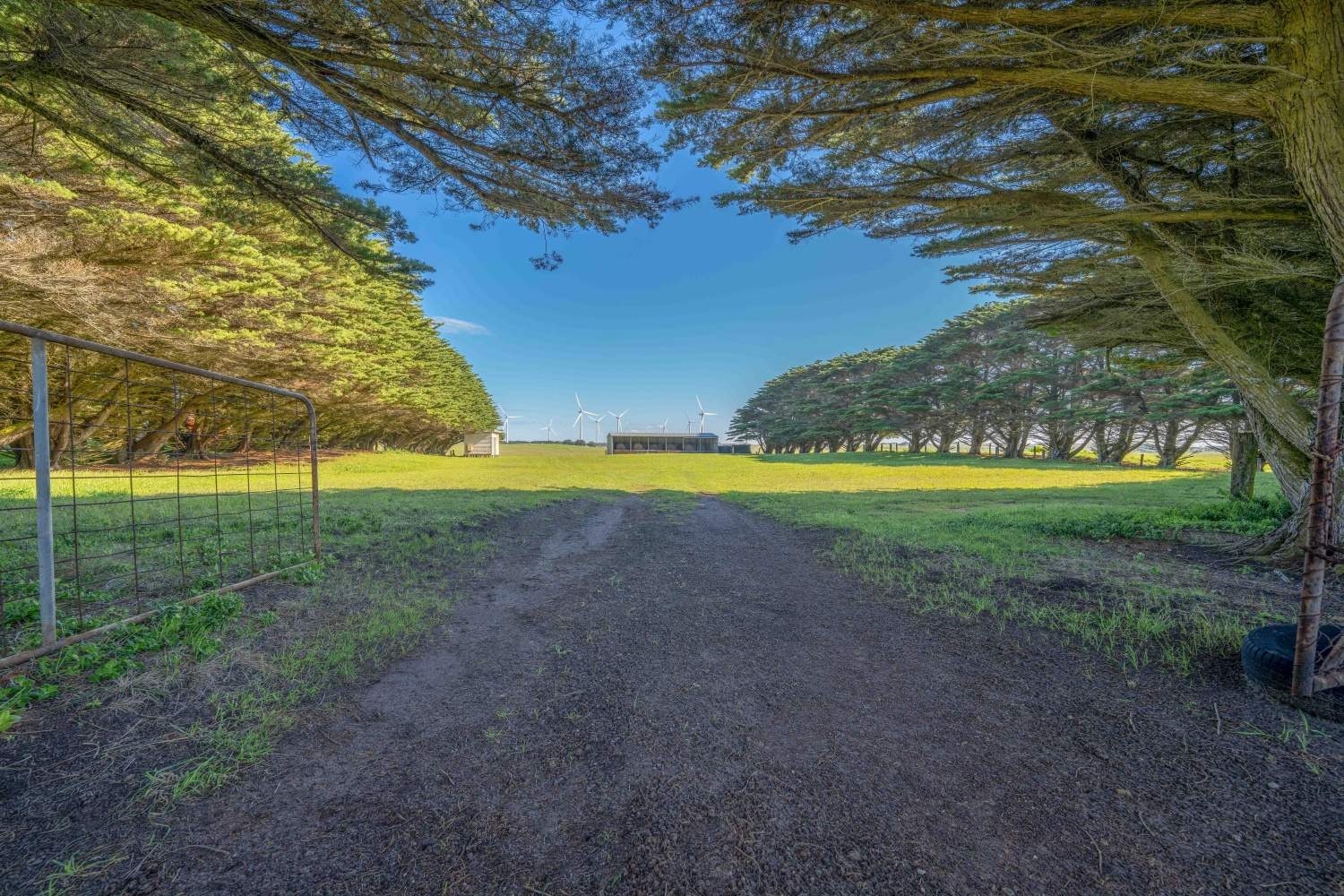 22 Nicholson Rd, Cape Bridgewater For Sale by Farmbuy.com - image 7