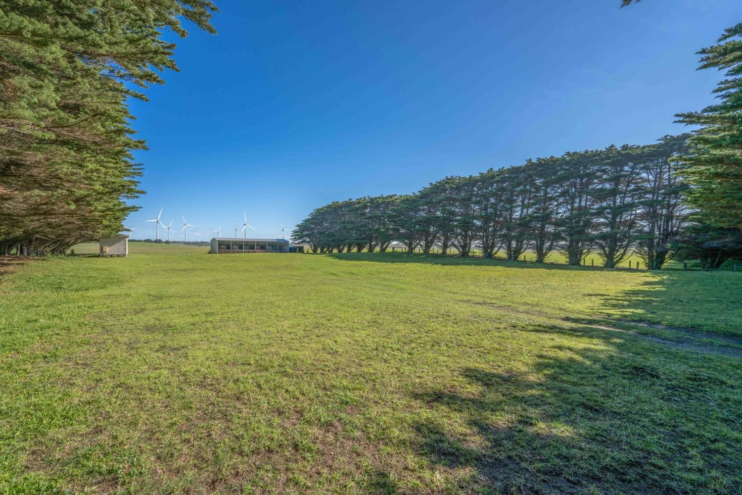 22 Nicholson Rd, Cape Bridgewater For Sale by Farmbuy.com - image 10