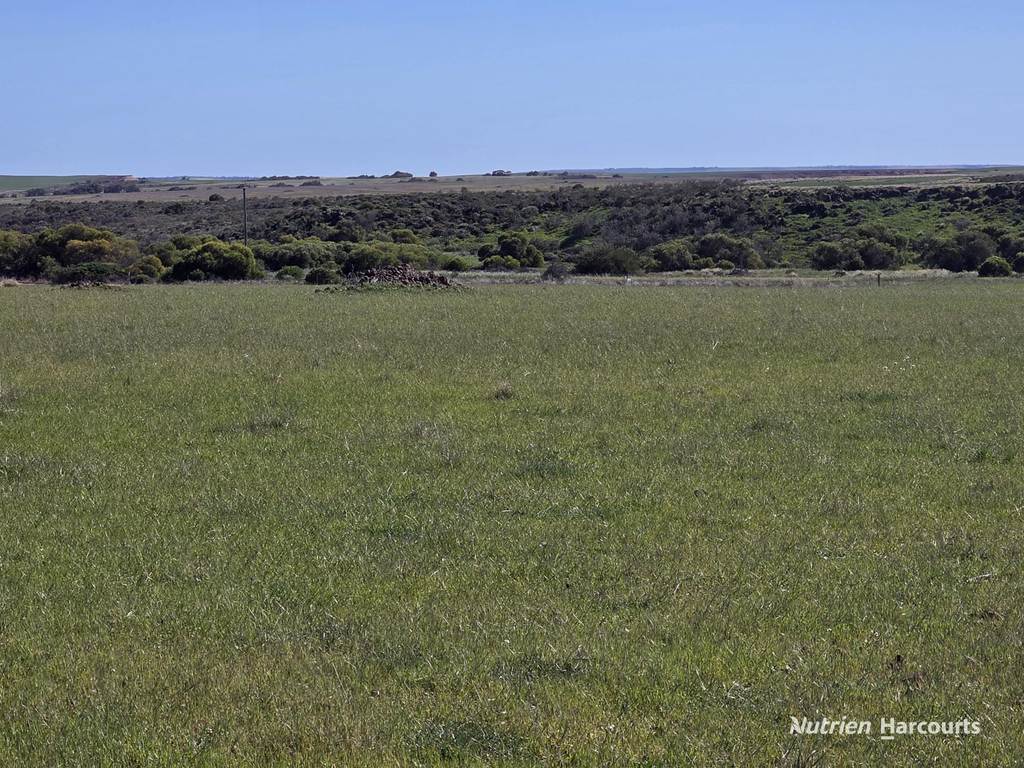 Lot 13 Port Gregory Road, Yallabatharra WA 6535